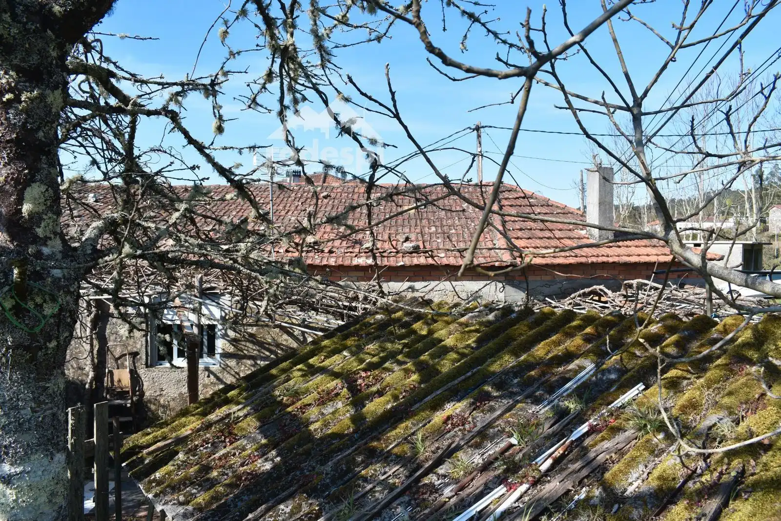 Vista exterior de Casa o chalet en venta en Verea con Trastero y Amueblado