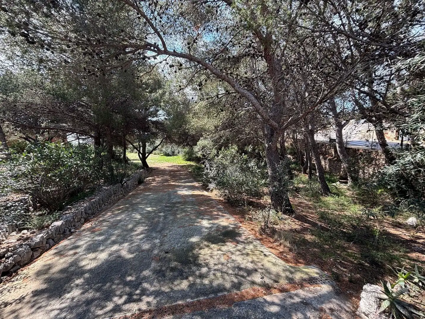 Terreno rustico in vendita a Calle Mimosa, imagen 3