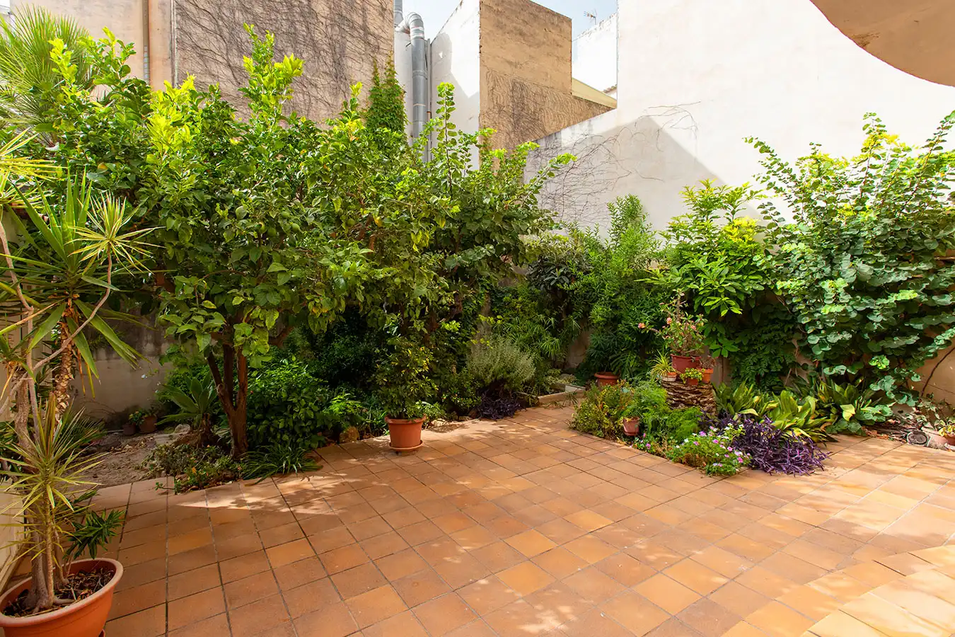 Casa con giardino in vendita a Carrer de la Victoria 56, imagen 31