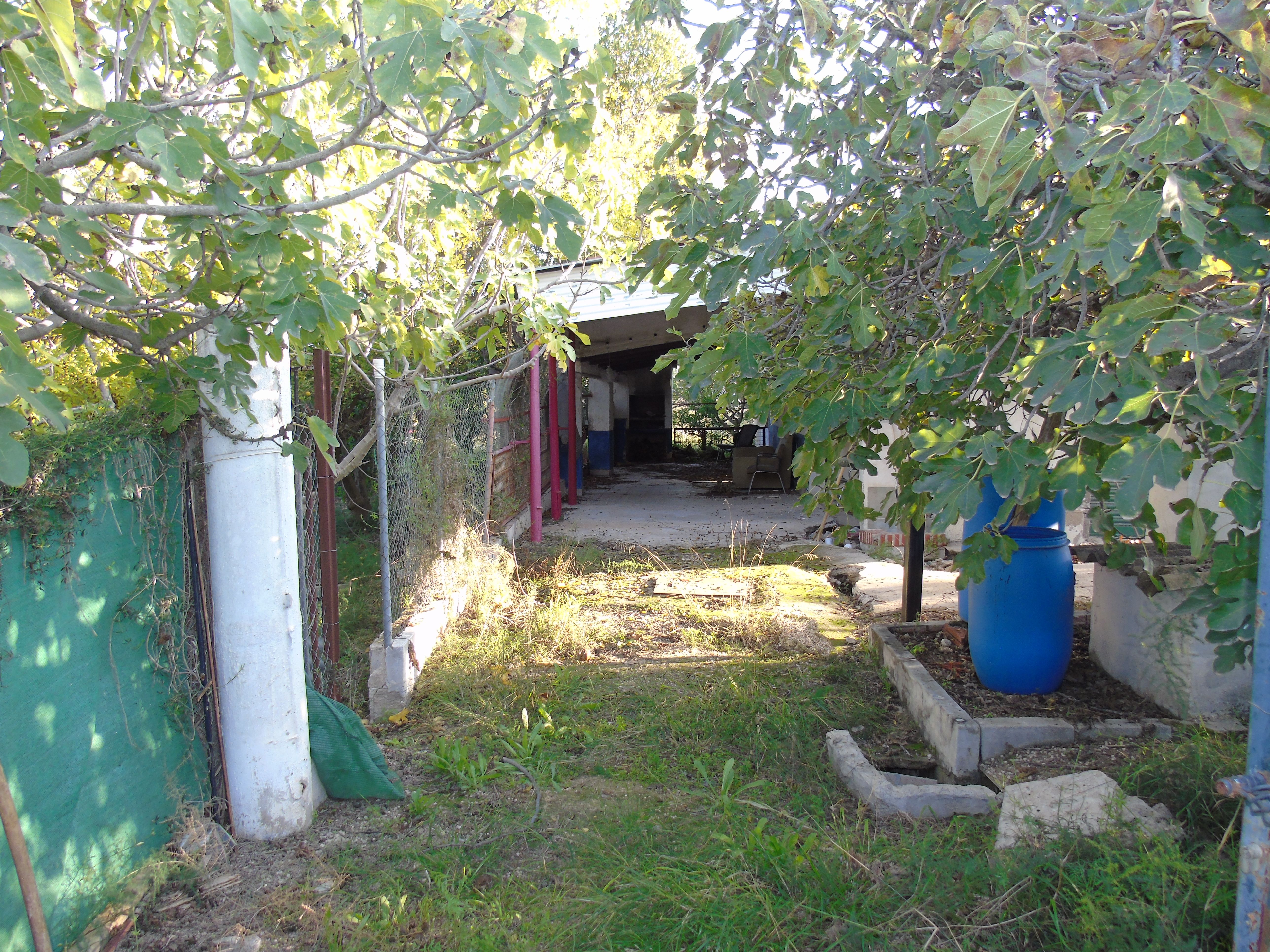 Garden of Country house for sale in Alguazas
