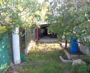 Jardí de Finca rústica en venda en Alguazas