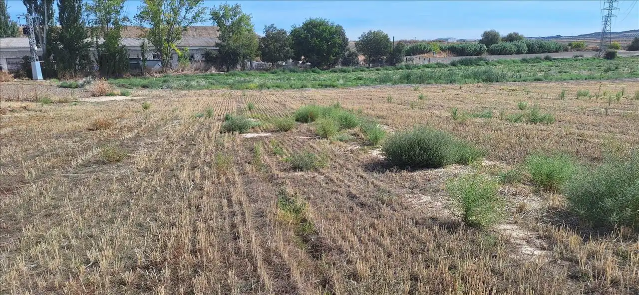 Residential land for sale in SECTOR 14 DEL PGOU, imagen 8