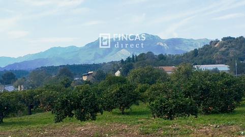 Foto 5 de Finca rústica en venda a Wf7w+428, Xerta, Tarragona