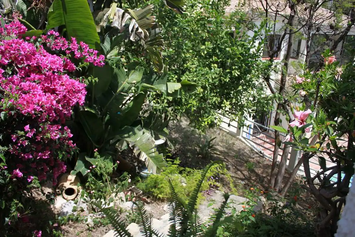 Jardí de Casa o xalet en venda en Almuñécar amb Moblat