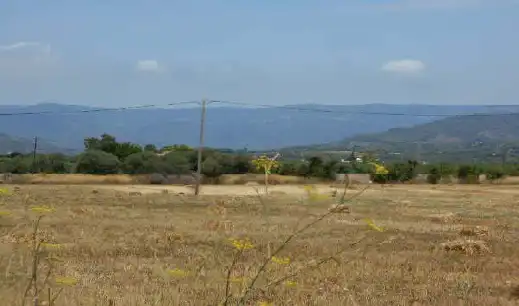Terreny rústic en venda a Partida del Roquis, imagen 10