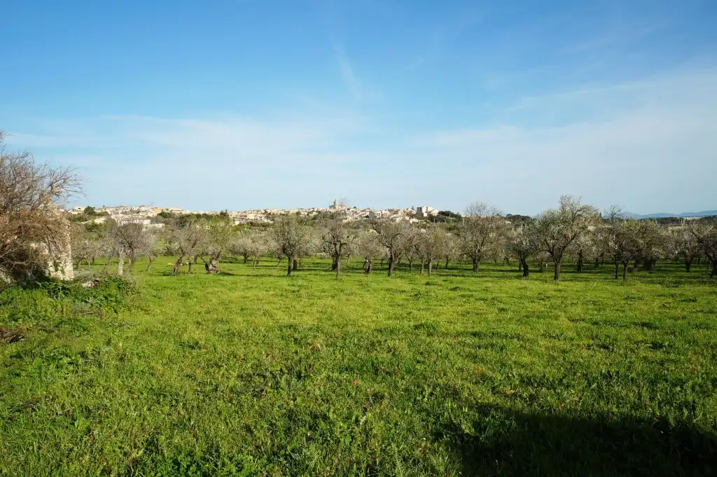 Casa rustica con giardino in vendita a Campanet, imagen 12