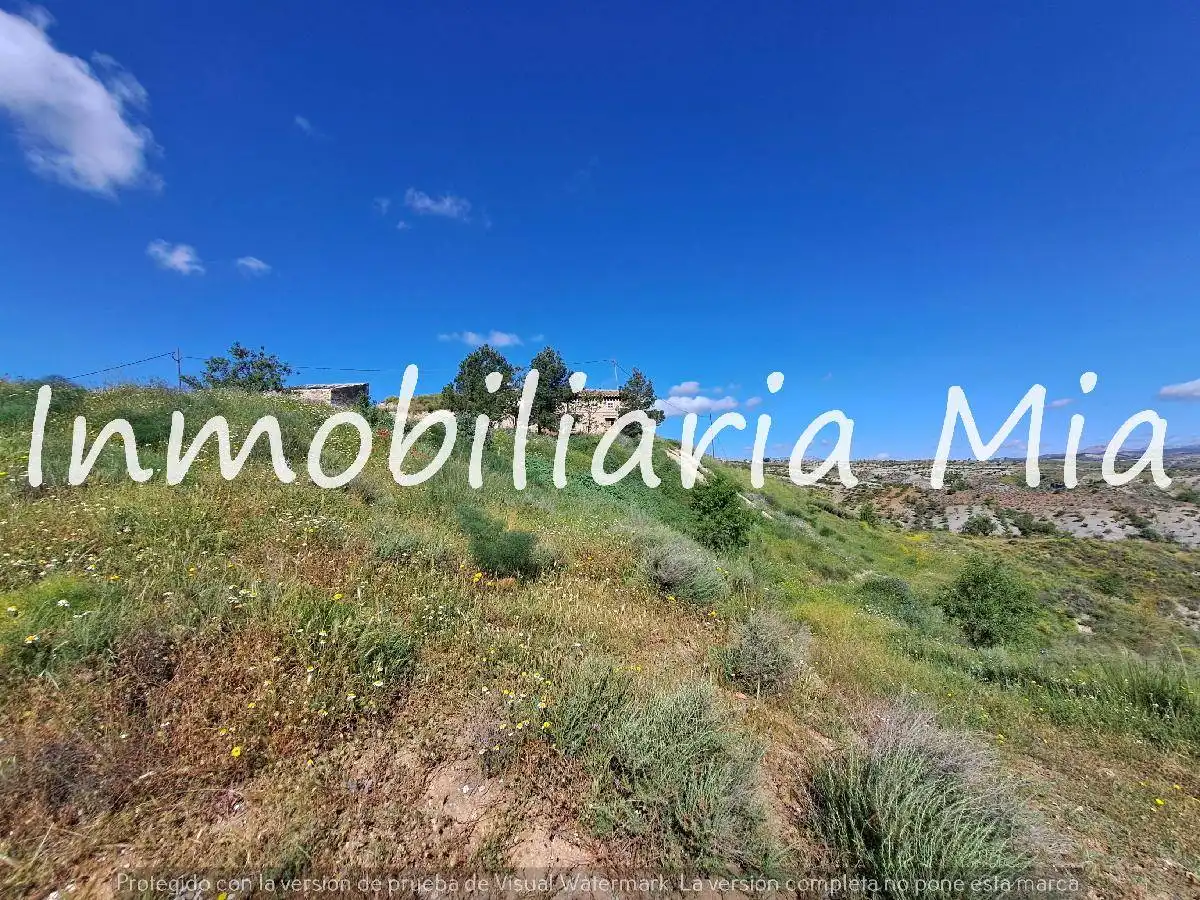 Houses for sale in Nogalte