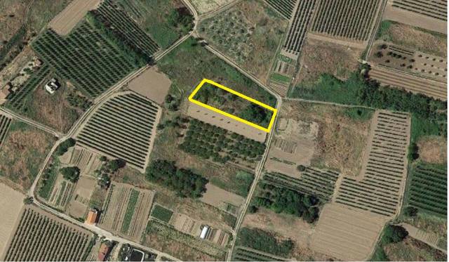 Terreno en Venta en Alcanadre