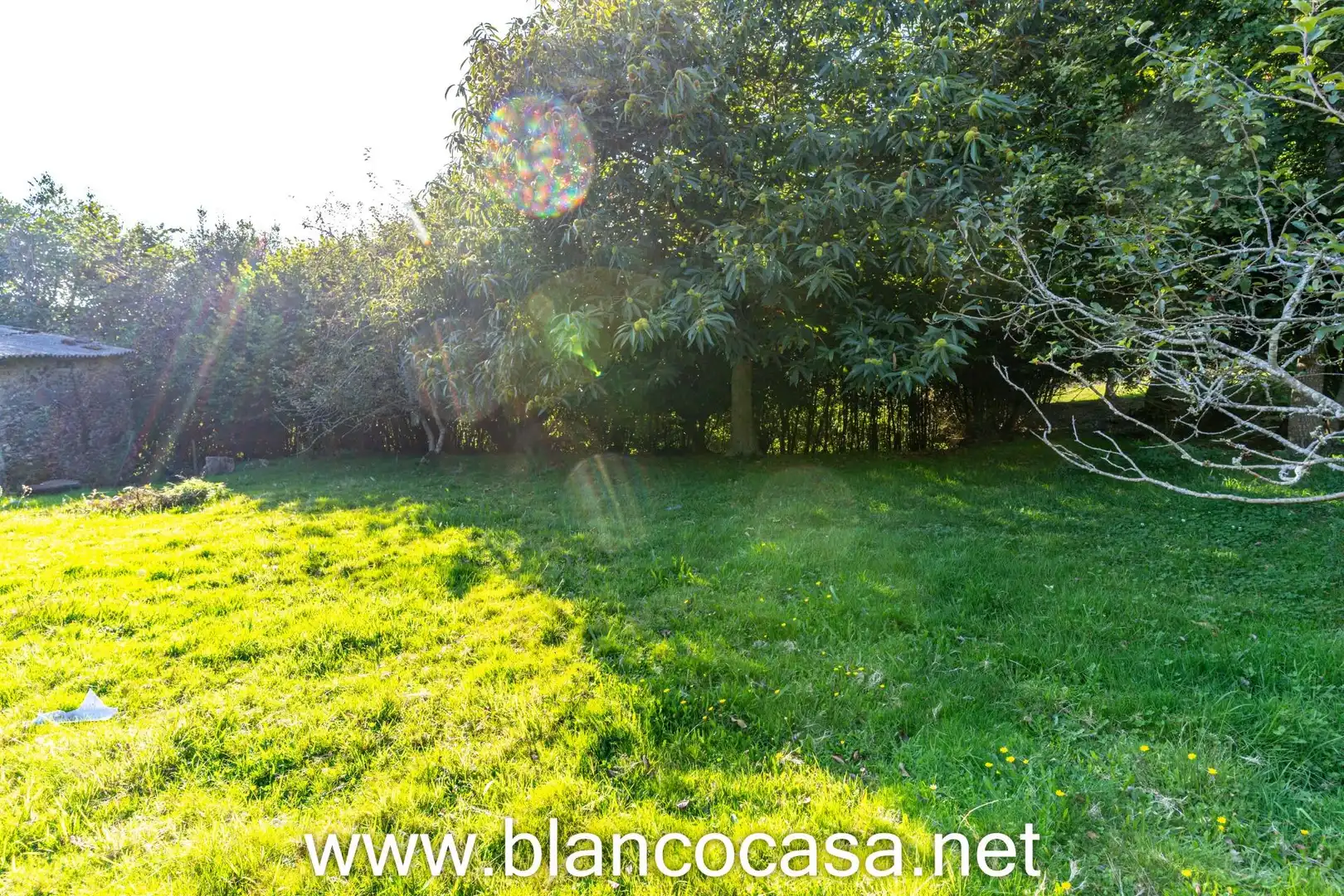 Casa con giardino in vendita a A Laracha, imagen 59