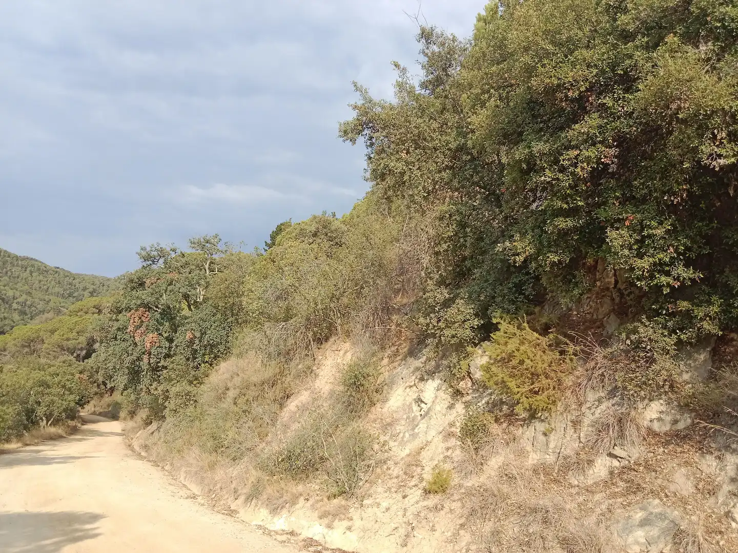 Terrenos y solares en venta en Sant Cebrià de Vallalta, imagen 15