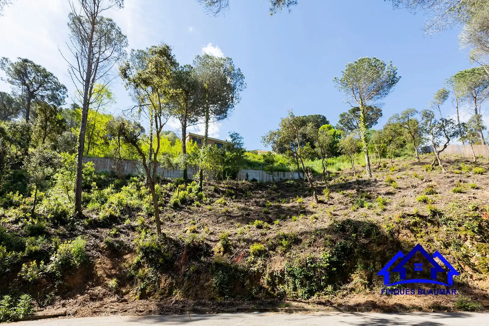 Lands and plots for sale in Vallgorguina, imagen 2