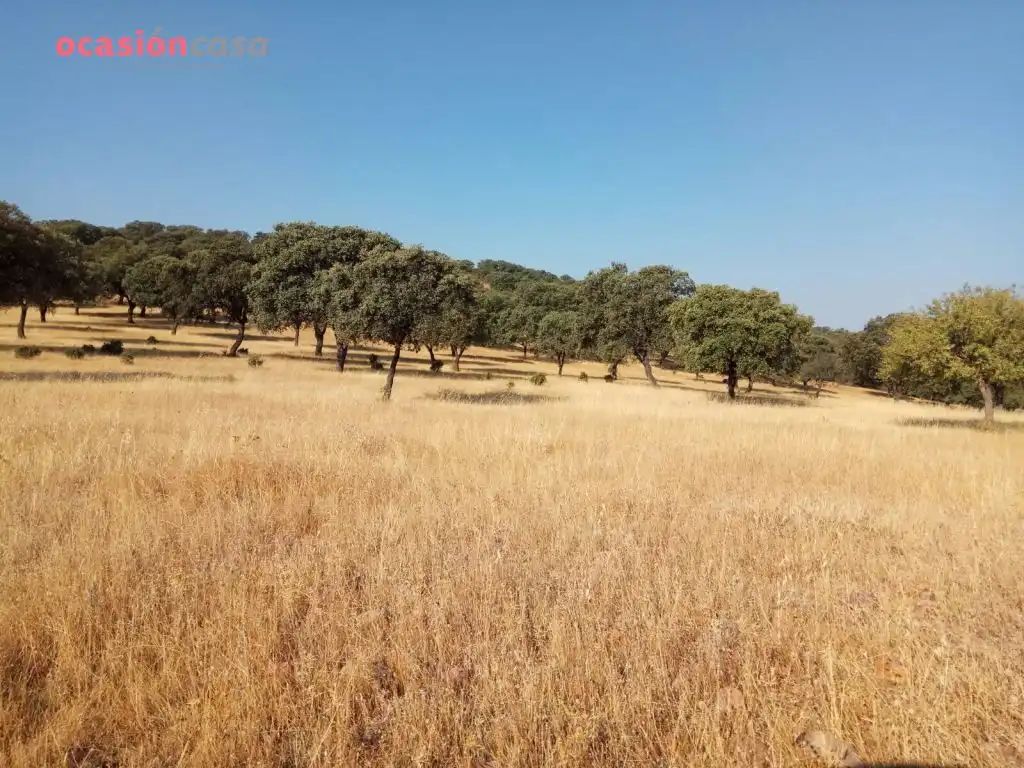 Country homes for sale in Torrecampo