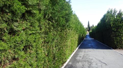 Foto 4 de Residencial en venta en Calle Manuel Álvarez Romero, Huévar del Aljarafe, Sevilla