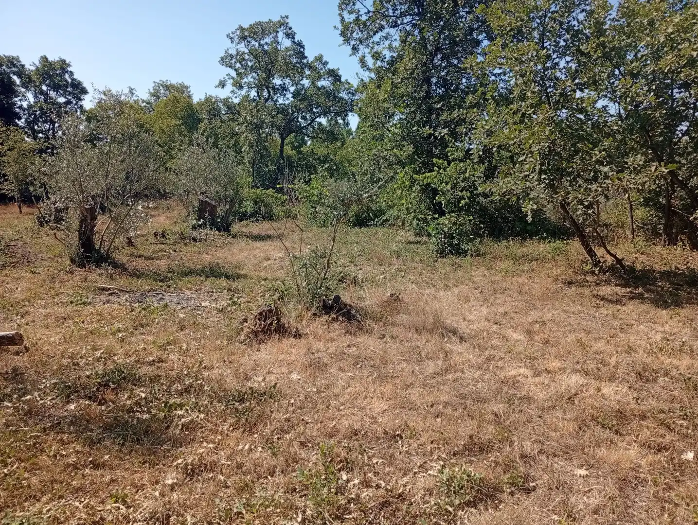 Terreni e lotti in vendita a Villanueva de la Vera, imagen 26