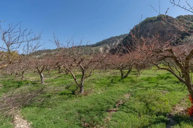 Terreni e lotti in vendita a Villamena, imagen 15
