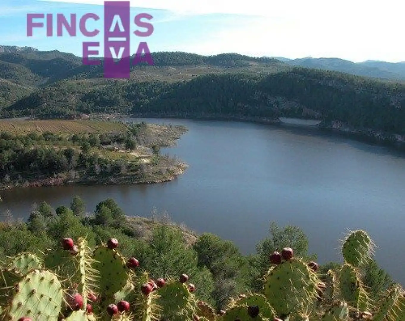 Residencial en venda a Poligono 8 y 10 Els Guiamets, Els Guiamets