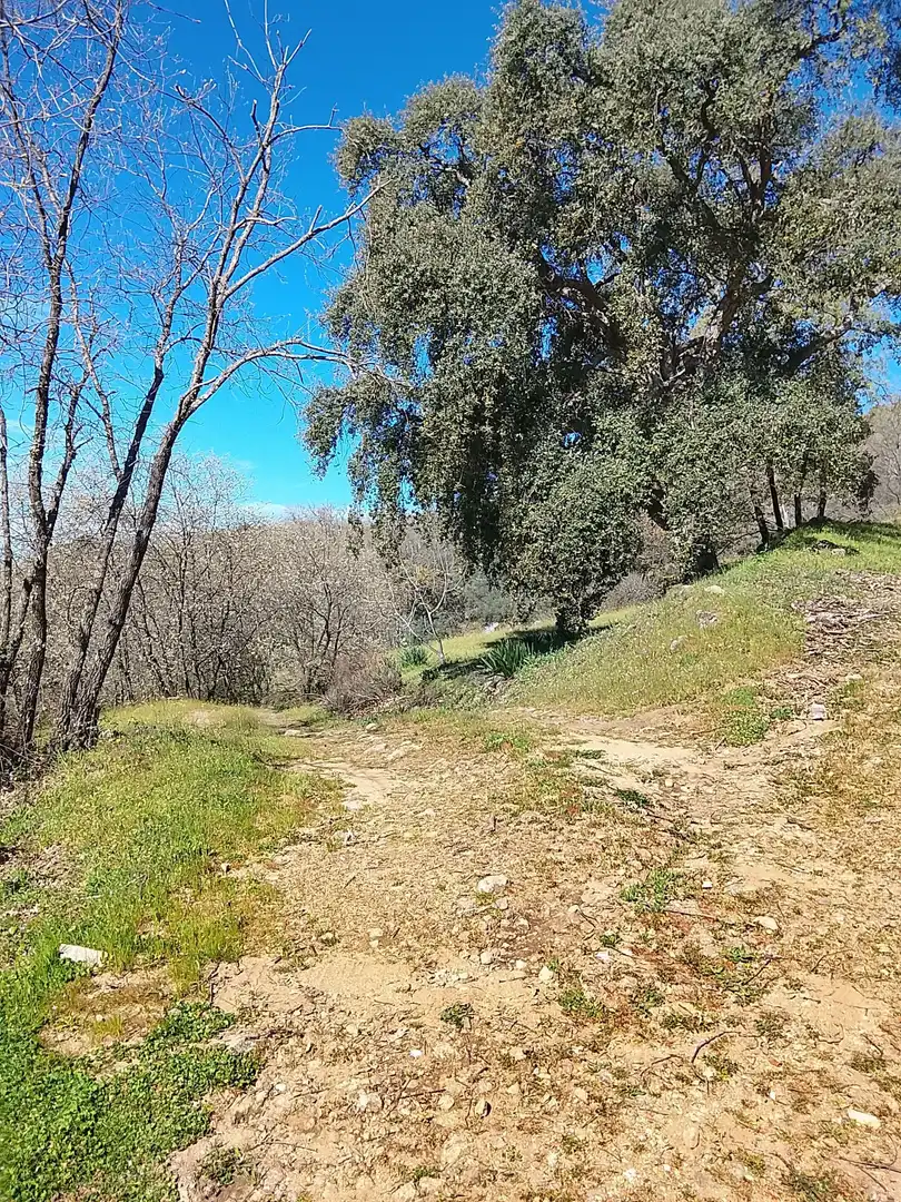 Terreni e lotti in vendita a Candeleda, imagen 13