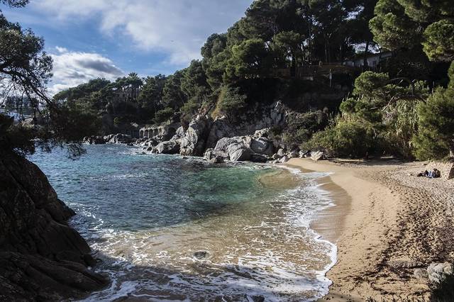 Apartamento en Venta en Los Pinos - Politur