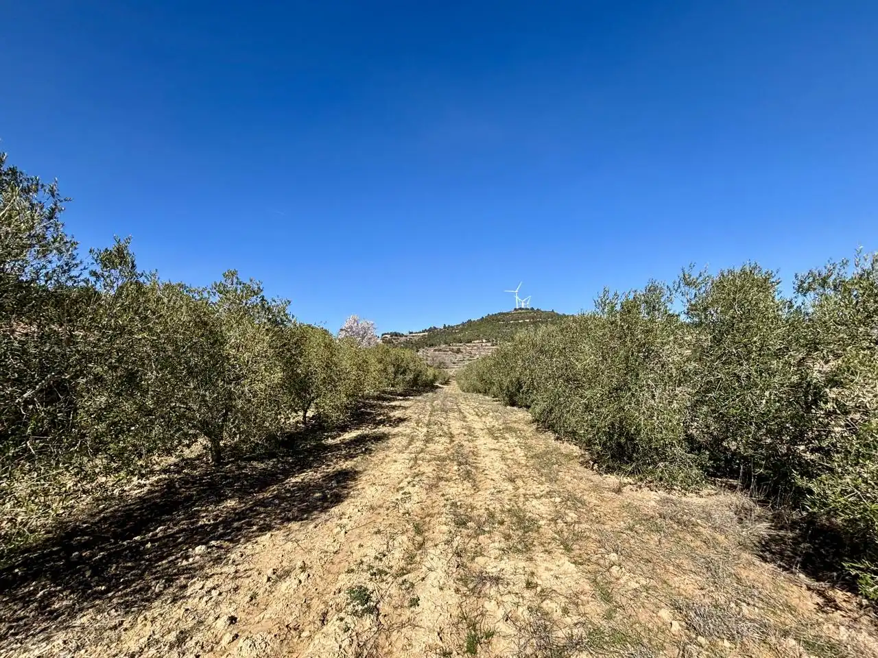 Terreno en venta en Solivella