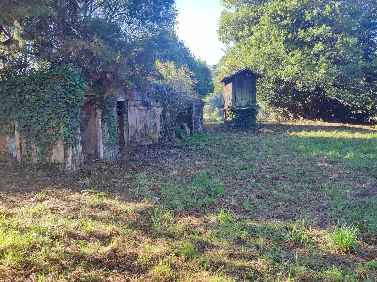 Casa o xalet en venda a O Pino