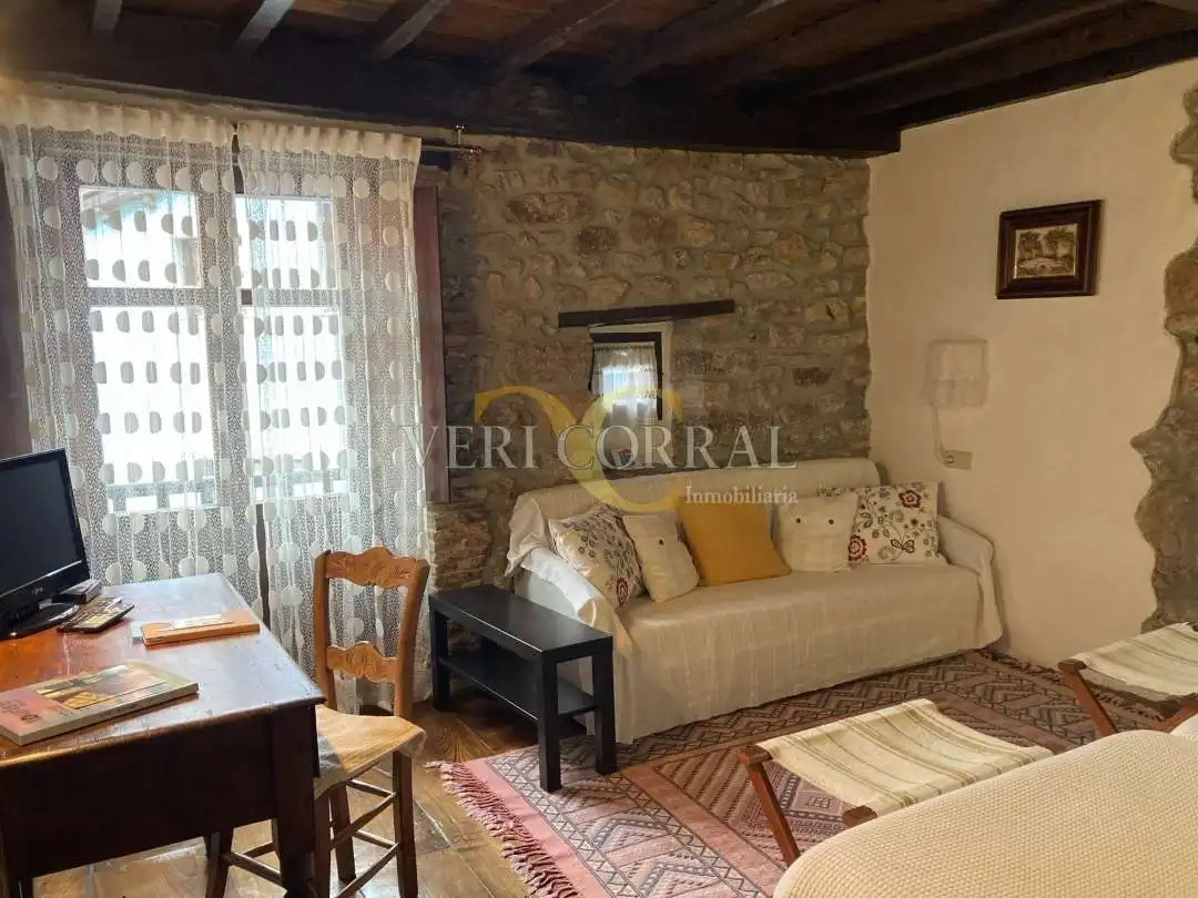 Sala d'estar de Edifici en venda en Peñamellera Baja