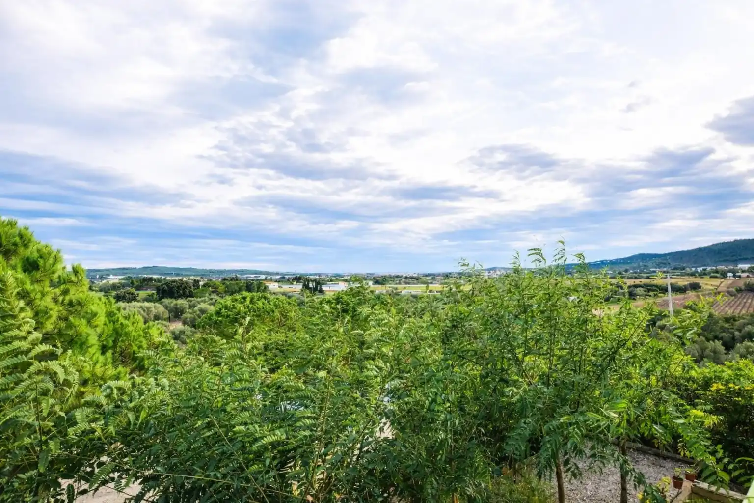 Finca rústica en venta en Santa Oliva con Jardín privado