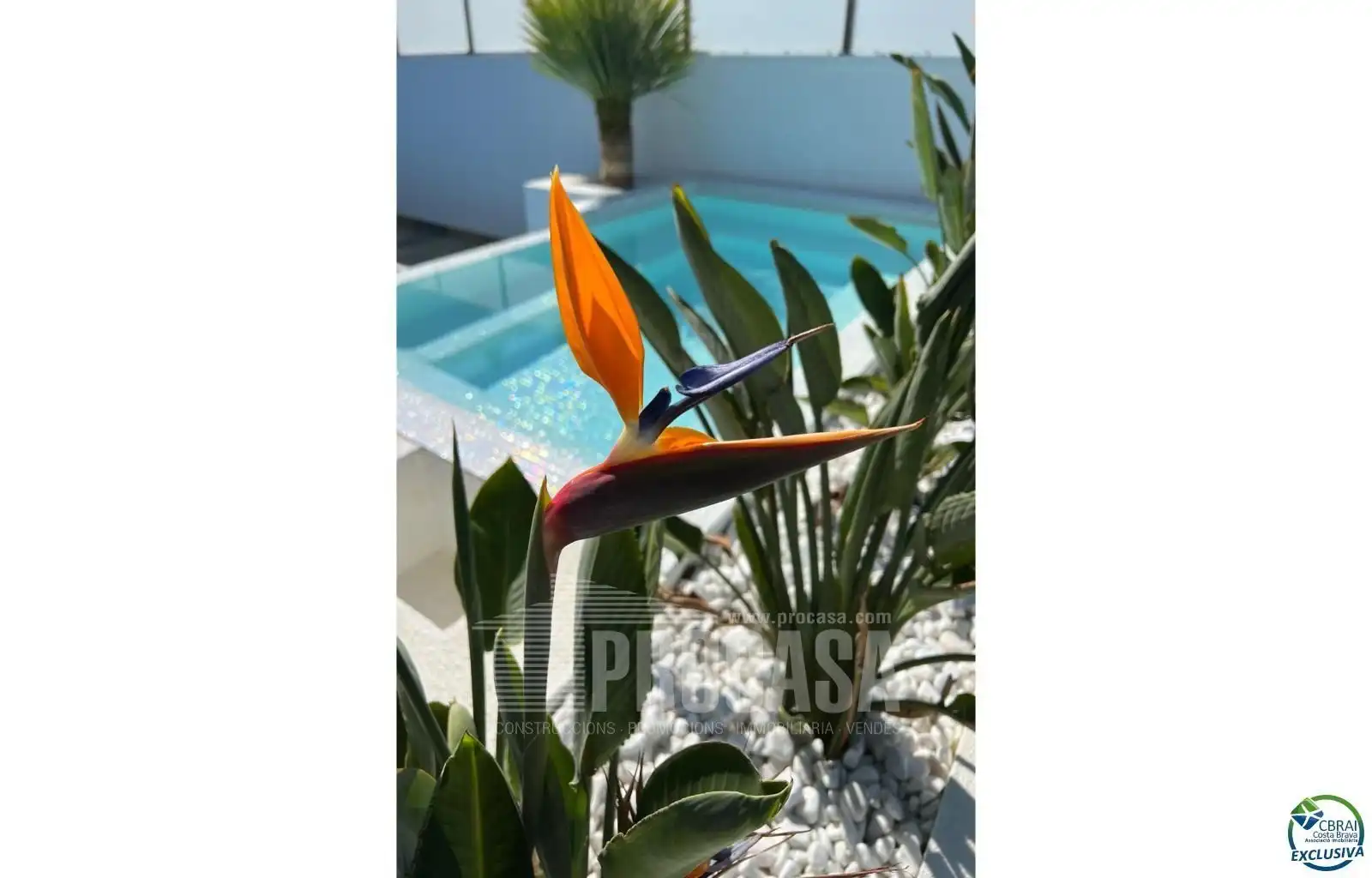 Chalet con piscina en venta en Falconera, imagen 11