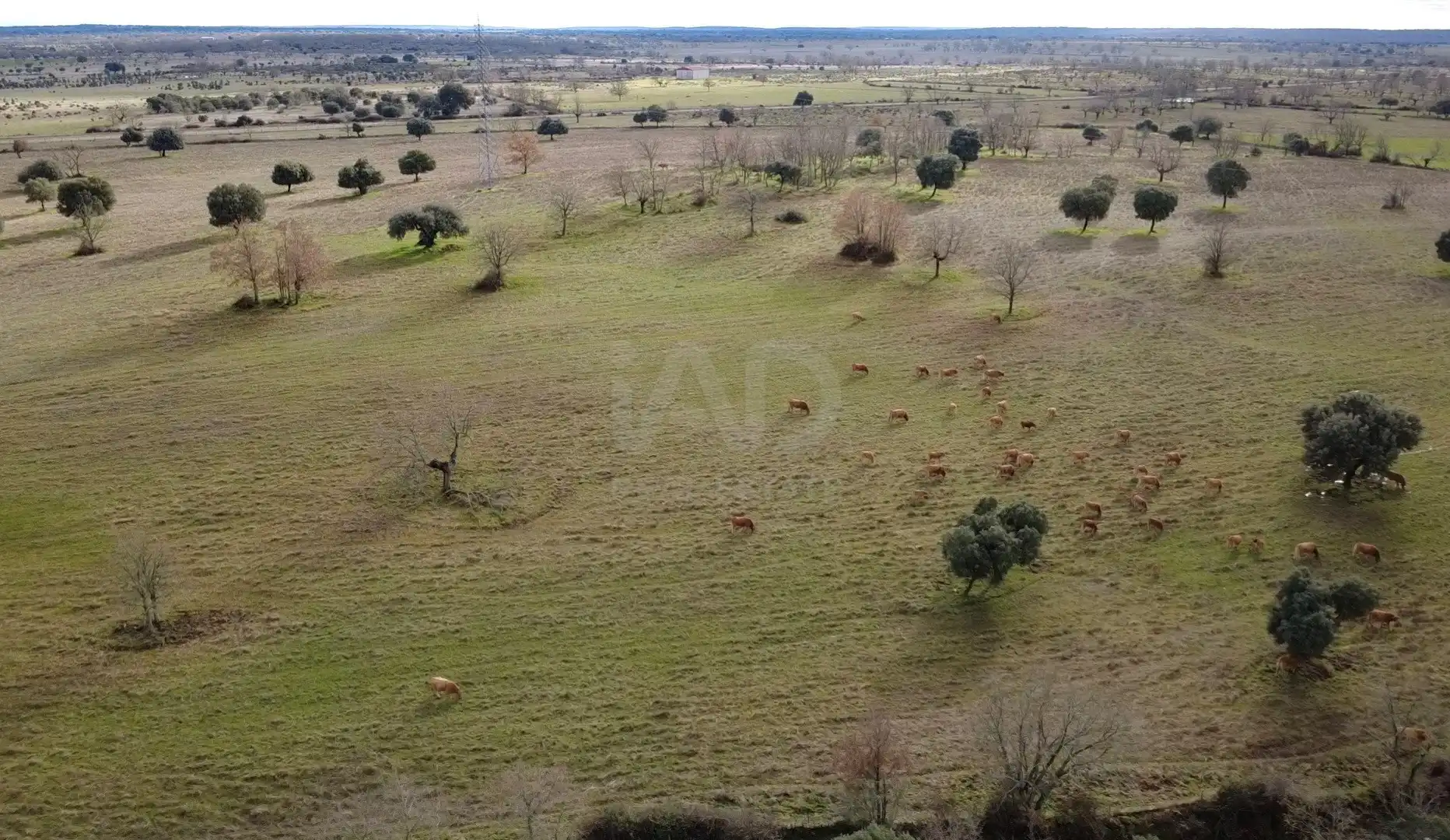 Land for sale in El Manzano 