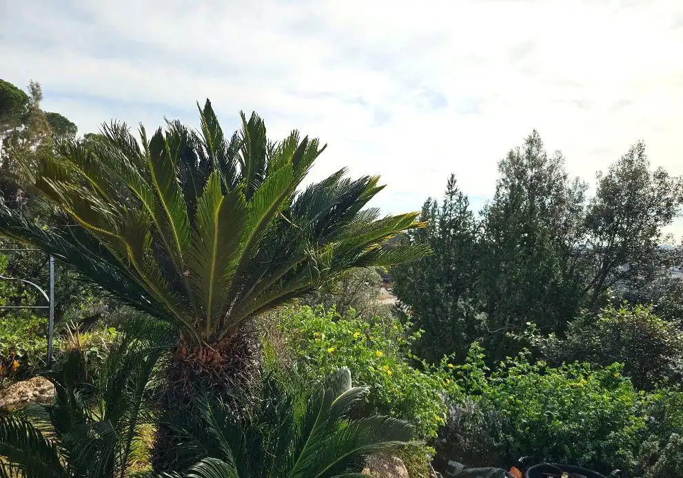 Villa con piscina in vendita a Carrer Avet, imagen 61