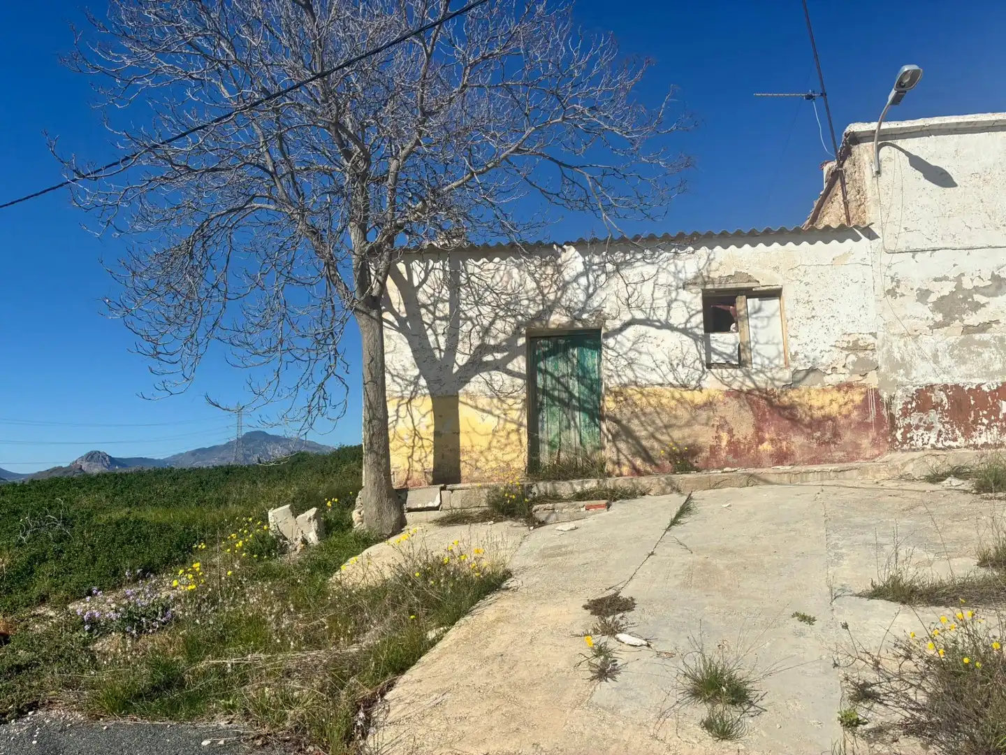 Vista exterior de Casa o xalet en venda en Molina de Segura