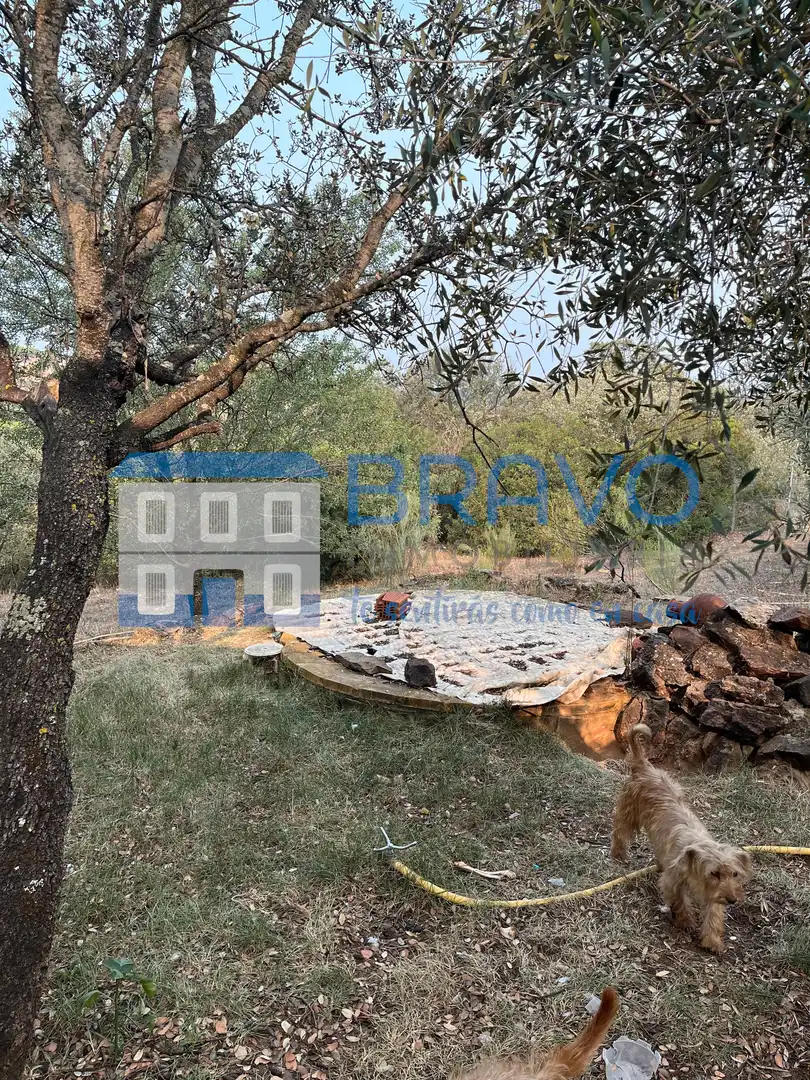 Chalet en venta en Don Benito, imagen 20