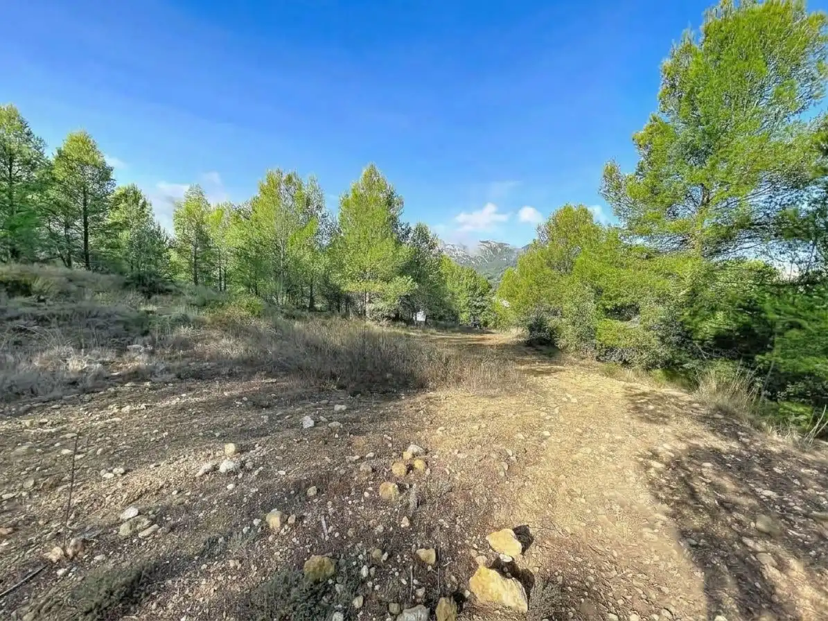 Wohnbaugrundstück zum Verkauf in Muro de Alcoy, imagen 7
