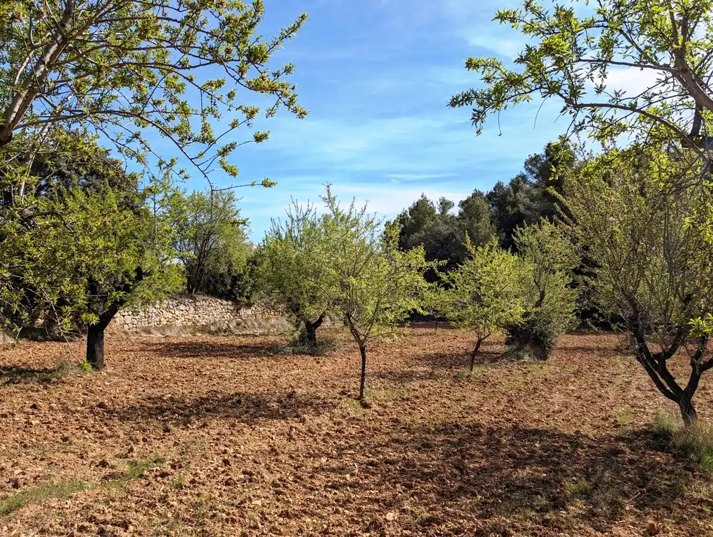 Terreni e lotti in vendita a Fuentespalda, imagen 11
