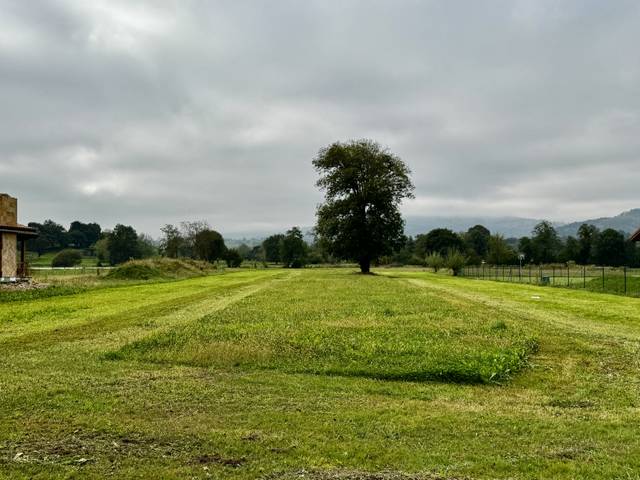 Terreno residencial en Venta en Saro - BO SARO DE ABAJO, 31 en Saro