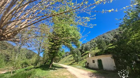 Foto 5 de Finca rústica en venda a Camino de la Ermita, 18, Las Navas de la Concepción, Sevilla