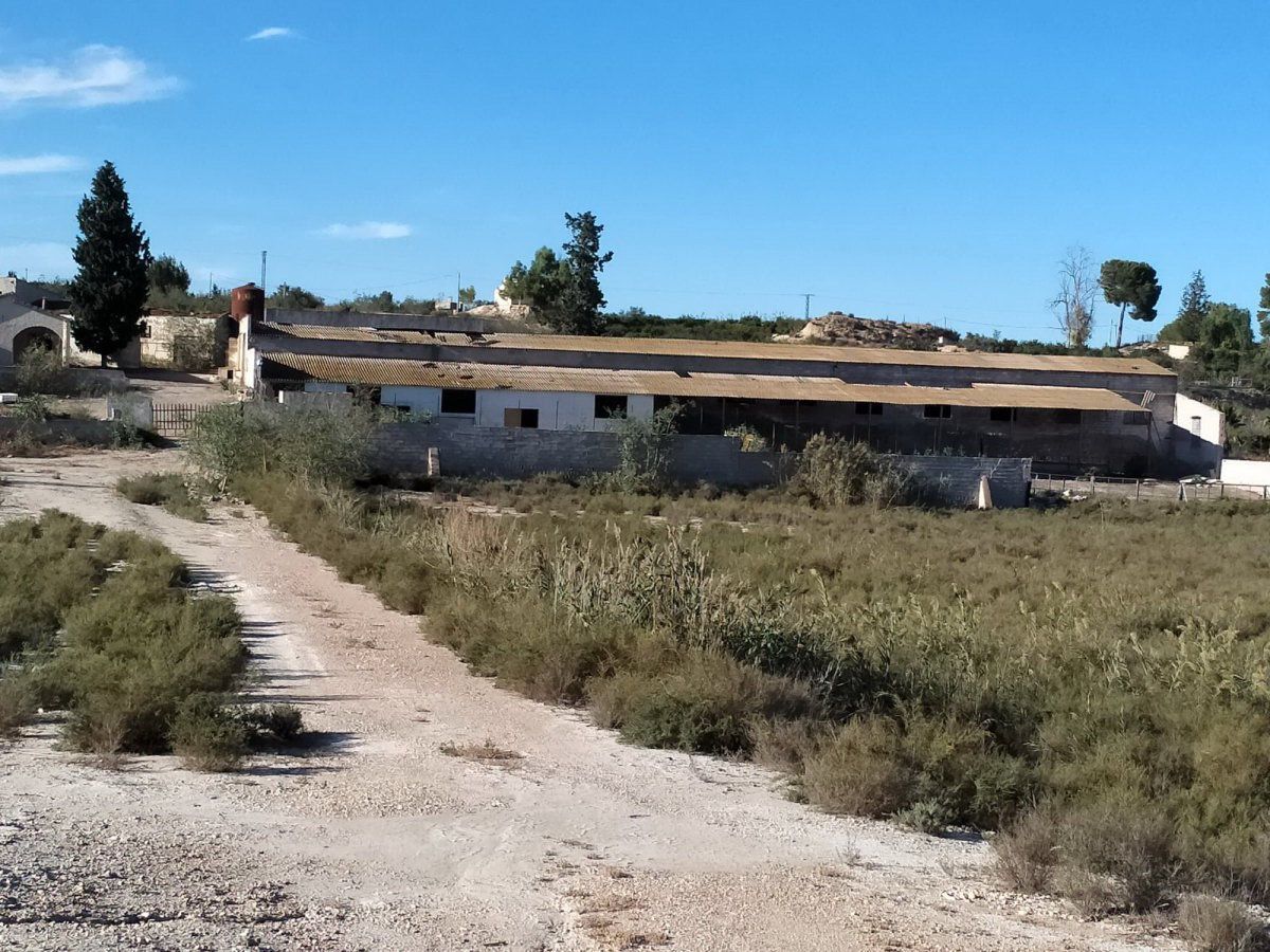 Edifici en venda en Alguazas