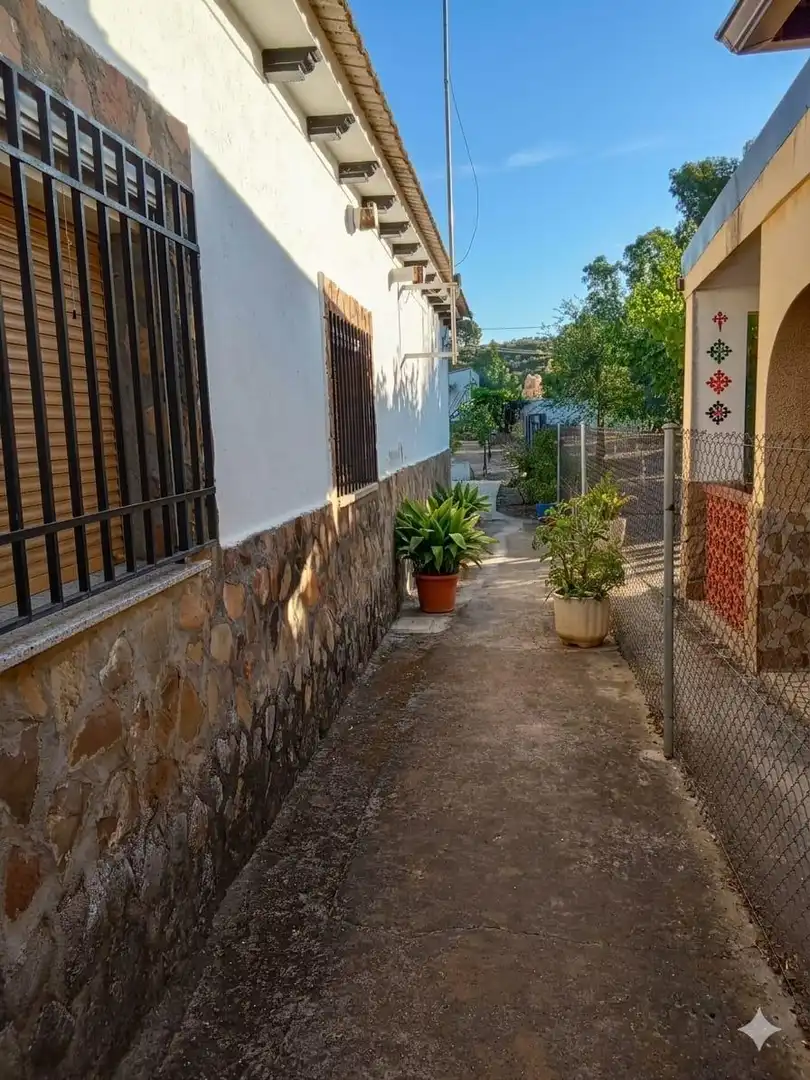 Vista exterior de Casa o xalet en venda en Piedrabuena amb Calefacció, Jardí privat i Terrassa