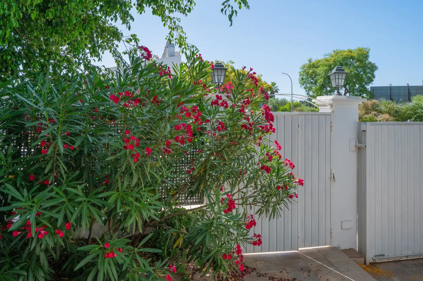 Jardí de Casa o xalet en venda en Marbella amb Aire condicionat, Jardí privat i Terrassa