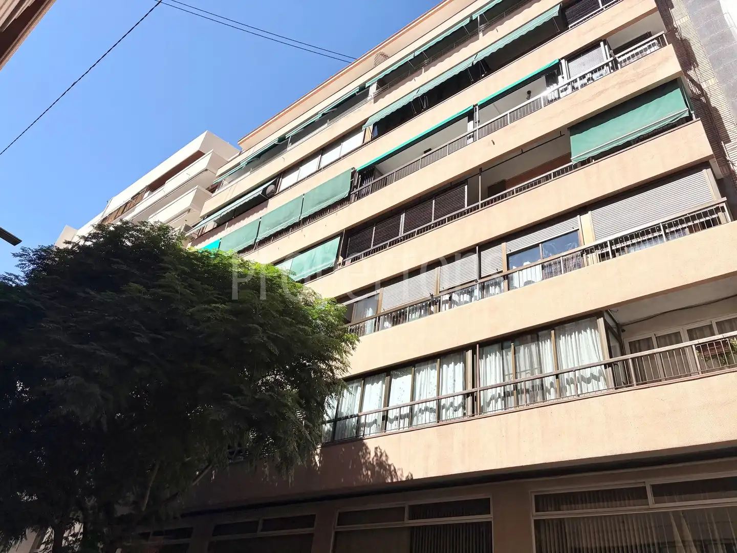 Piso con terraza en venta en Pintor Lorenzo Casanova