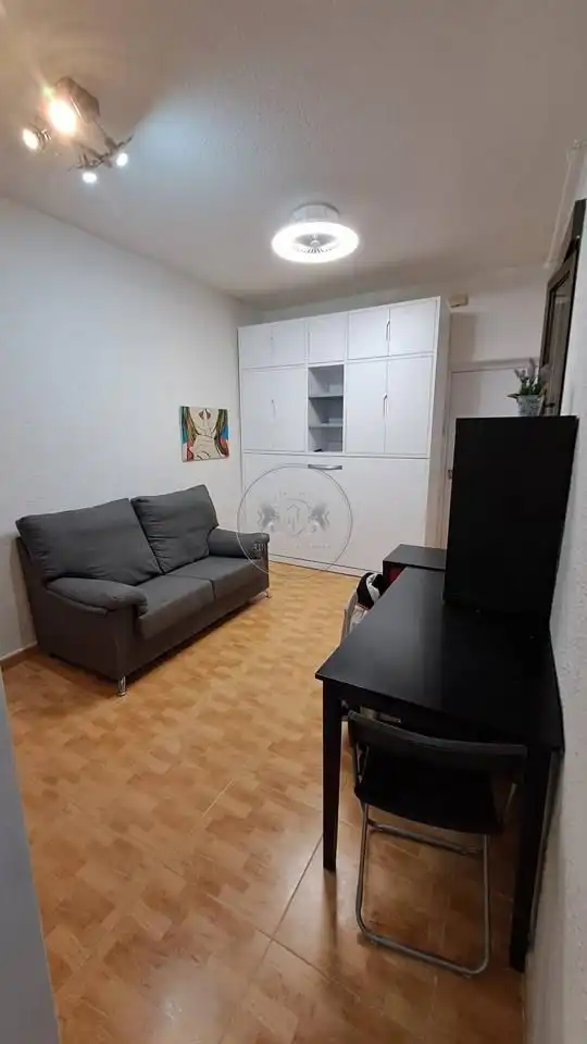 Sala de estar de Estudio de alquiler en Madrid con Calefacción y Amueblado