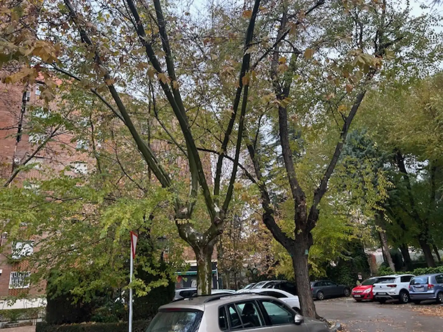 Vista exterior de Piso en venta en  Madrid Capital con Aire acondicionado y Calefacción