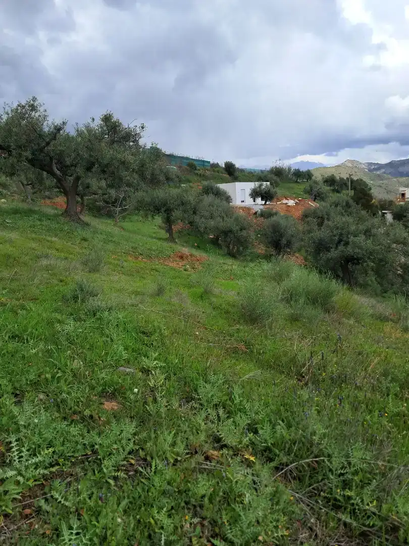 Finca rústica en venda en Almuñécar amb Traster, Moblat i Forn