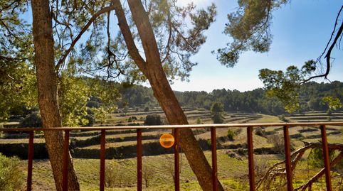 278,5 Hectáreas. 4 FINCAS. TERMINOS DE ALCOY, PENAGUILLA Y BENIFALLIM. 20 REF. CATASTRO / 4 URBANAS, imatge 5