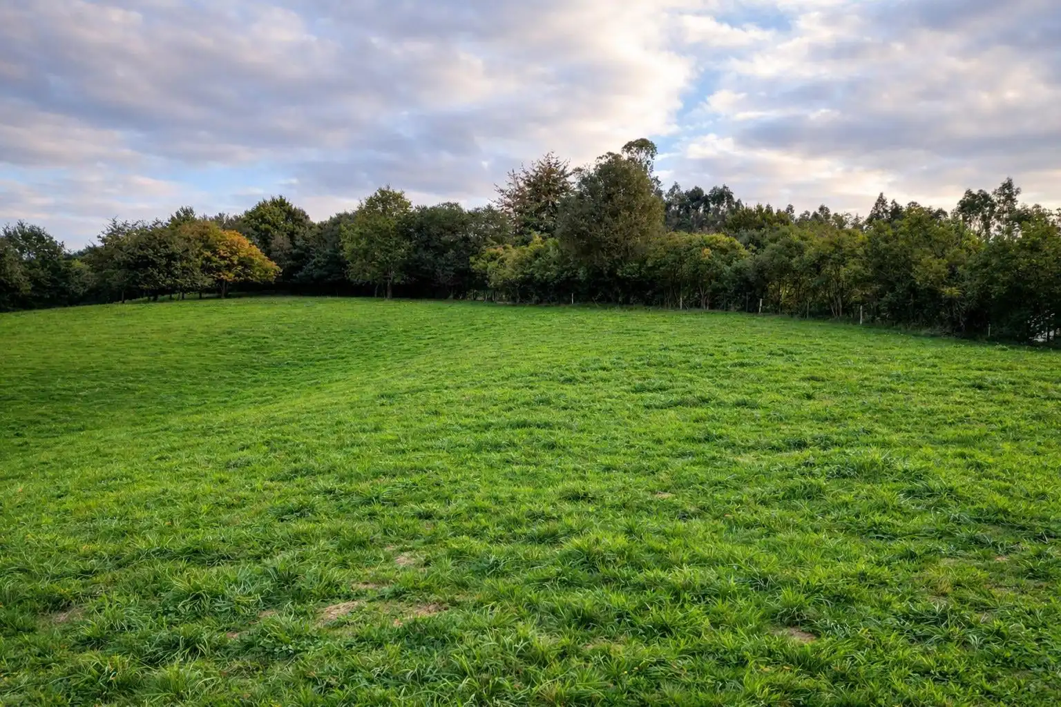 Land for sale in Comillas (Cantabria)