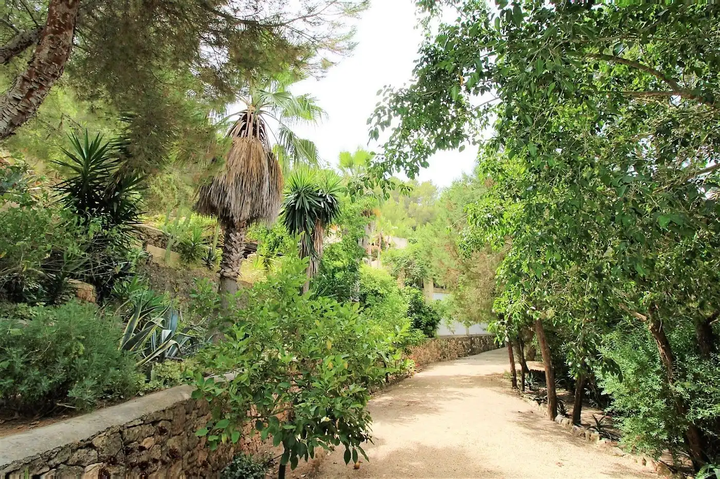 Xalet amb piscina en venda a Sant Agustí-Cala de Bou, imagen 47