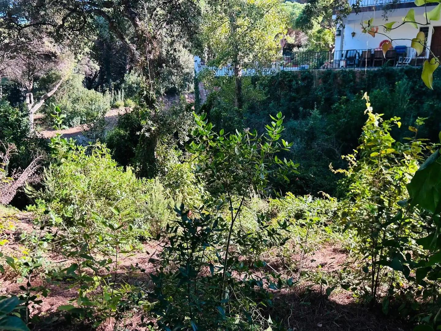 Terrenys i solars en venda a Carrer de Rosamar, imagen 5