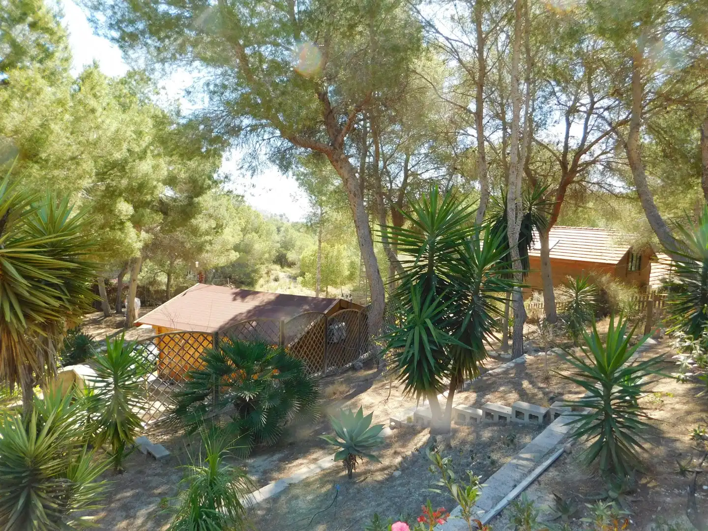 Landhaus zum Verkauf in Desamparados - Hurchillo - Torremendo, imagen 34