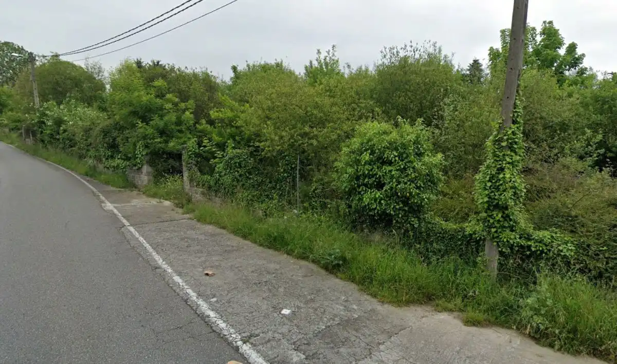 Rural land for sale in Sur, imagen 4