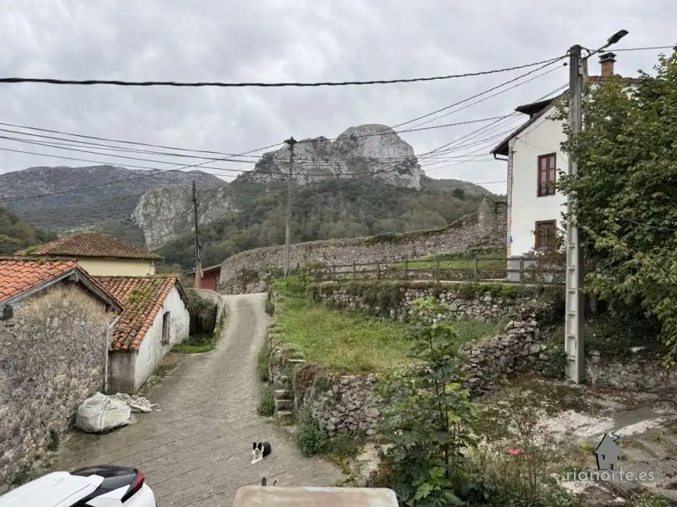 Exterior view of Houses for sale in Peñamellera Alta  with Heating