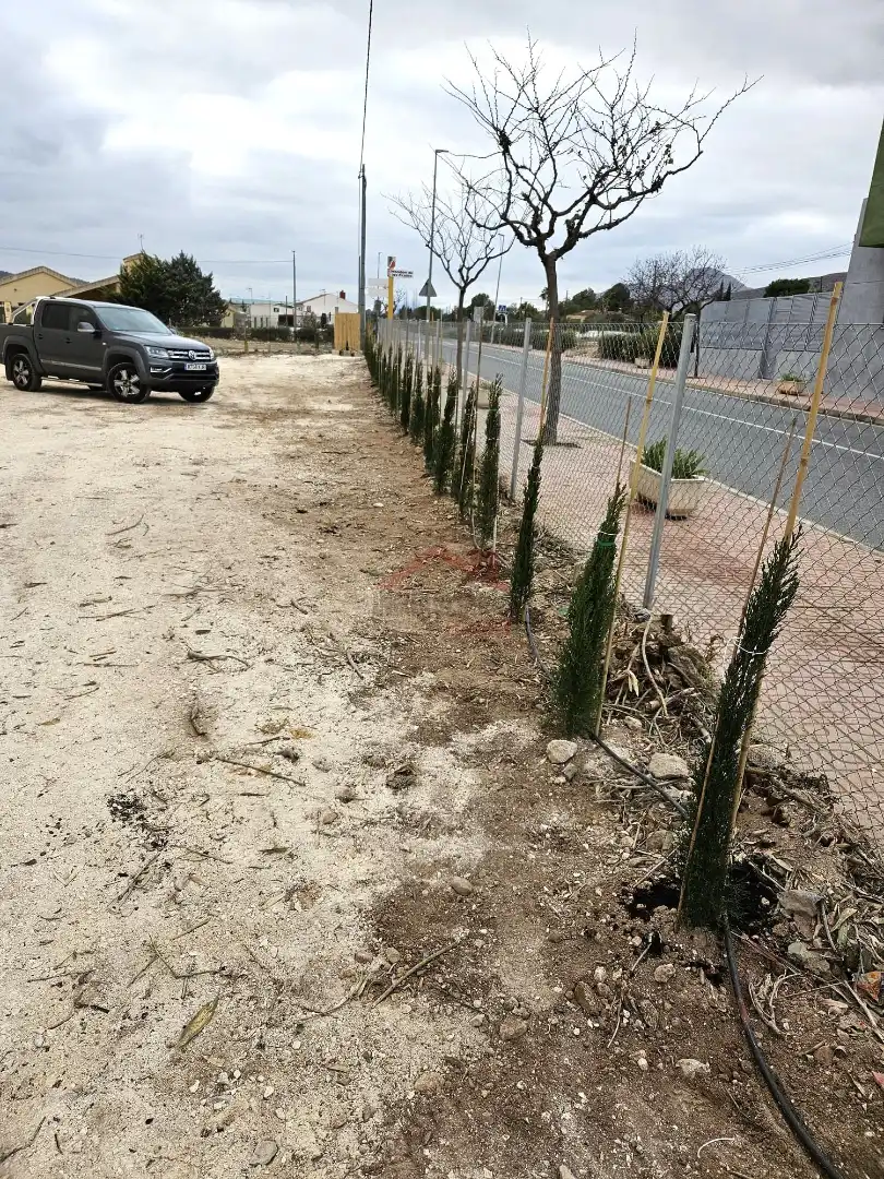 Terreno residenziale in vendita a Avinguda Barbarroja, imagen 6